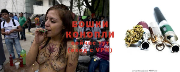 спиды Богородск