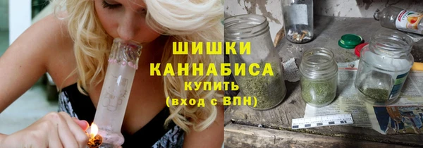 спиды Богородск